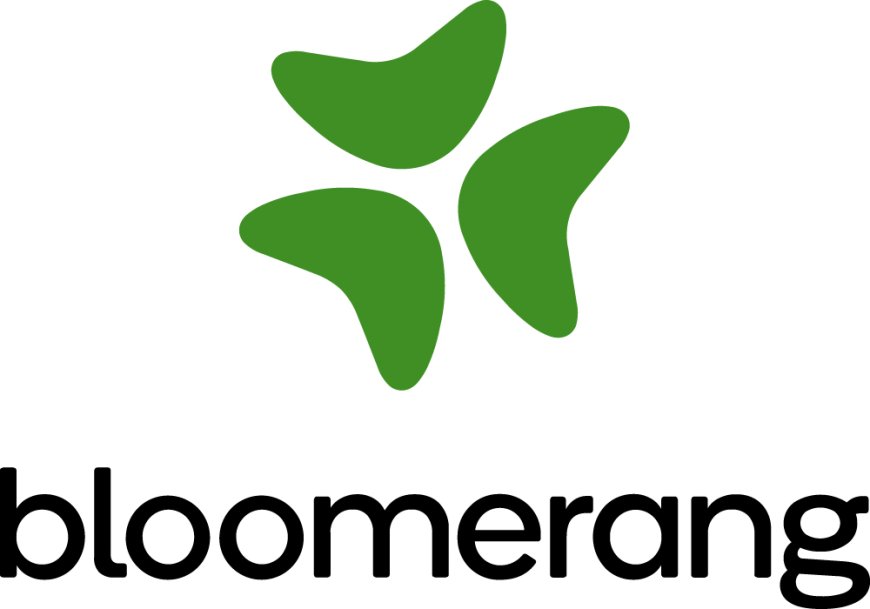 Bloomerang: General Application